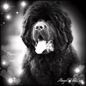 Céline Toussaint's photo