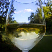 wendy crispell's photo