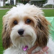 Judy Regnery's photo
