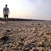Carl Sellick's photo