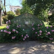 Ulla Hadbergs billede