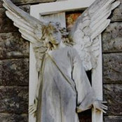 Alec Michael Tenace's photo