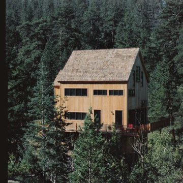 Gallery 3