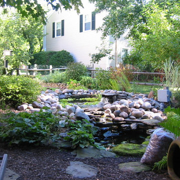 Pond