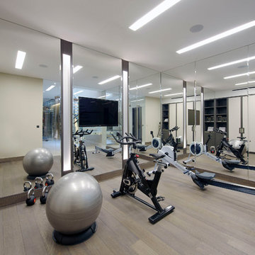 Contemporary Home Gym