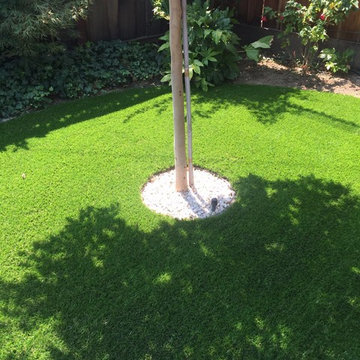 Pavers & Turf in San Jose