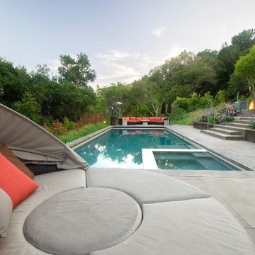 Mill Valley Hillside Landscaping