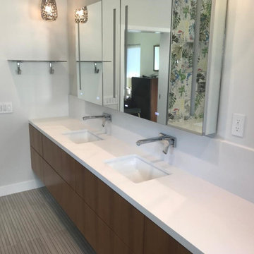 Whole Home Transformation