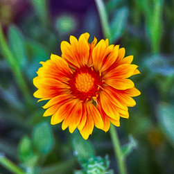 Orange & Yellow Delight - Artwork