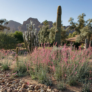 Arroyo Verde
