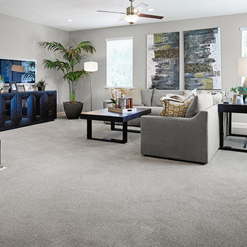 Heidi model home in Florida