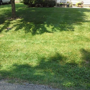 Lawn Care