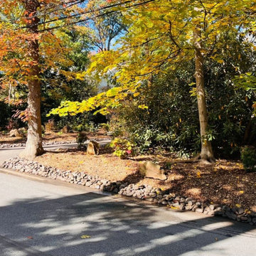 A Natural Woodland Edge Refresh in Wayne