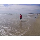 Gwen Elling's photo