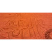 Matthew Genovese's photo