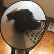 lpinsler's photo