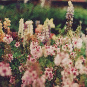 Bella Bella's photo