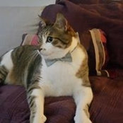 Meaghan Hassel-shearer's photo