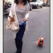 Tee Tsaiさんの写真
