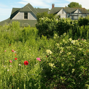 Ducktrap Garden & Wildflower Meadow