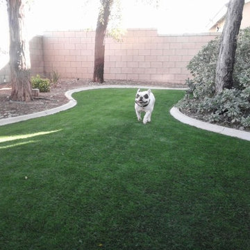 Rosamond turf