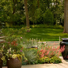 Landscape Ideas