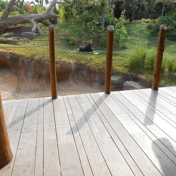 Houston TX Zoo- Ipe