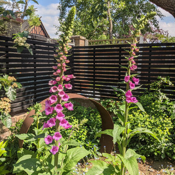 East London woodland garden