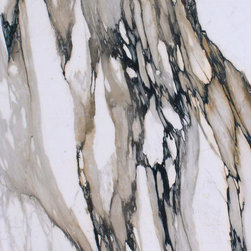 Calacatta Paonazzo Marble - Kitchen Countertops