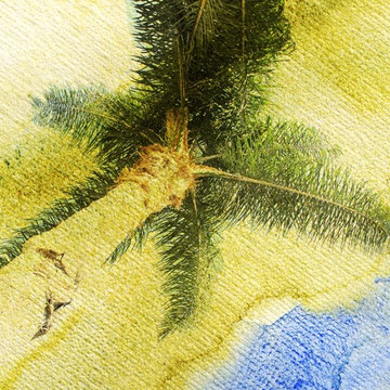 Succulents and Tropical Canvas Art by Irena Orlov
