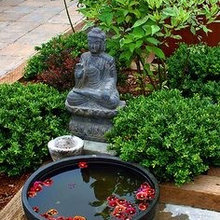 indoor garden