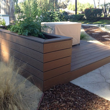 Landscaping under Eucalyptus Trees