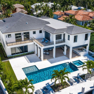 Alexander Palm 1 - Boca Raton