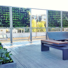 Penthouse Terrace
