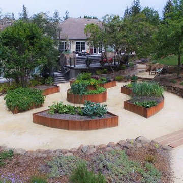 "Fields of Goldin" in Los Gatos