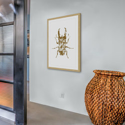Beetle Gold - Products