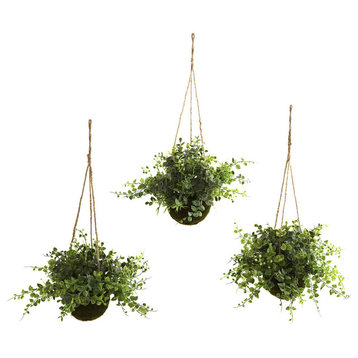 Eucalyptus, Maiden Hair and Berry Hanging Basket, Set of 3