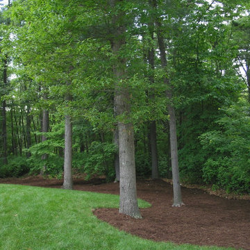Woodland edge