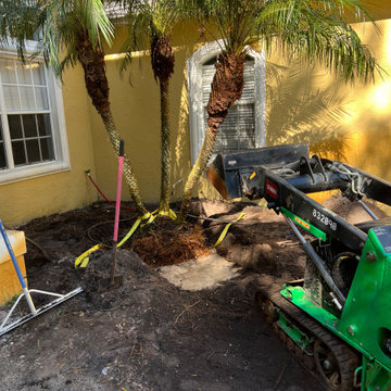 Landscape Demo / Robellini removal