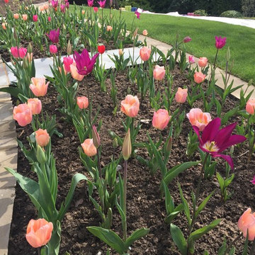 NORTHWOOD SENSORY GARDEN
