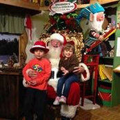 Amanda Trammell-Henry's photo
