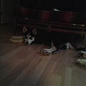 Gyslain Beaudoin's photo