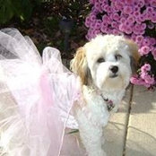 Susan Yach's photo