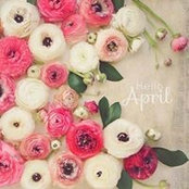 Details Decor's photo