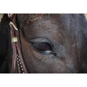 Vanessa Wright's photo