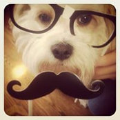 Leigh Lunn's photo