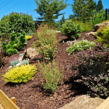 Terraced Backyard