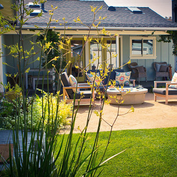 Kangaroo paws in foreground with lawn and seating area in background