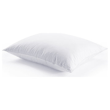 HiEnd Accents Down Pillow Insert, Standard 21"x27"