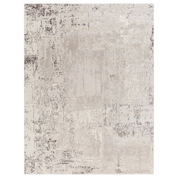 Contemporary Area Rugs by Hauteloom
